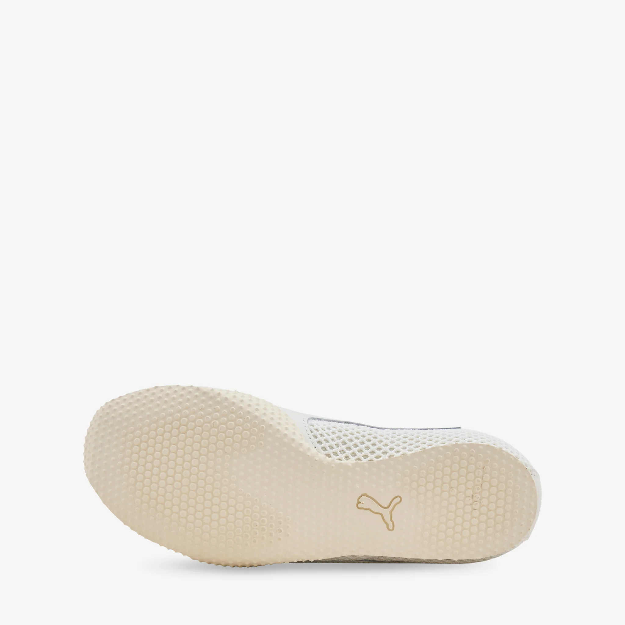 Guizio x H-Street Warm White - Image 5