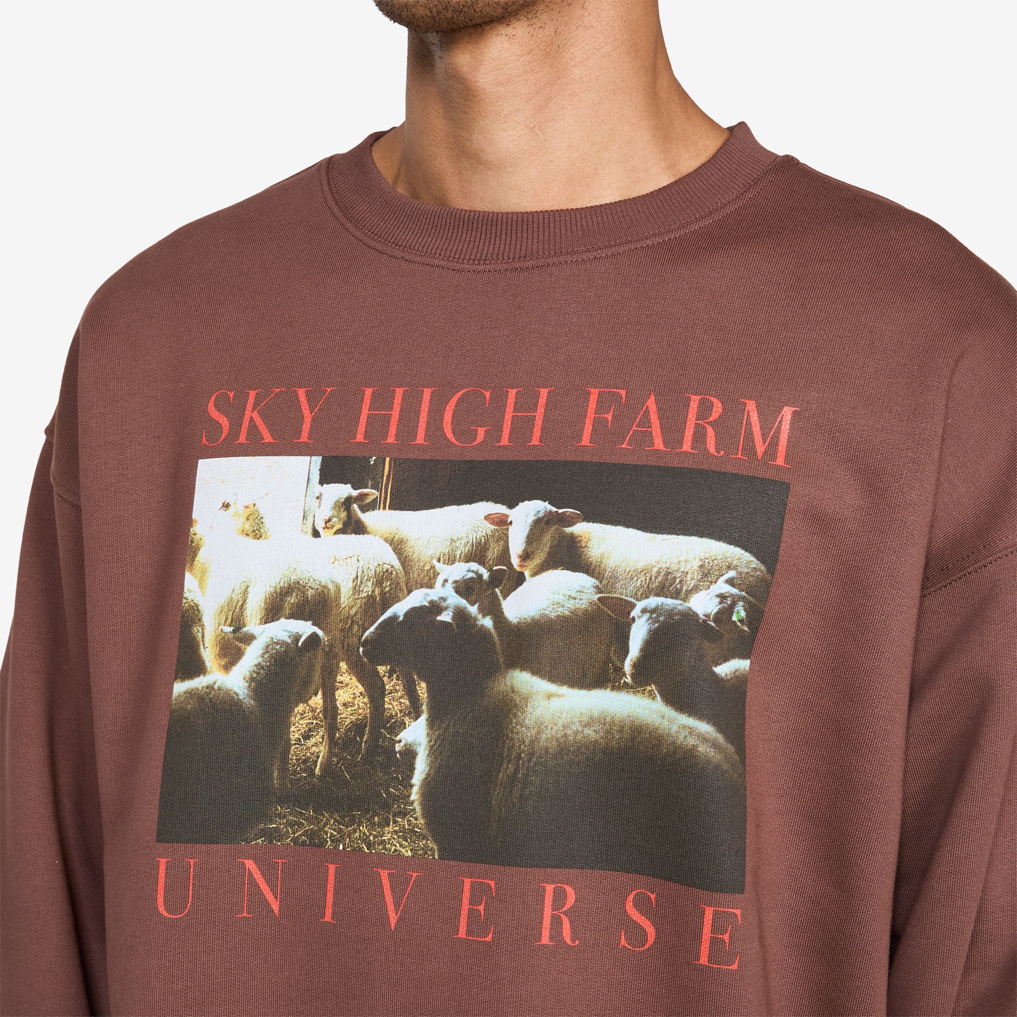 SHF Universe Sheep Crewneck Brown - Image 2